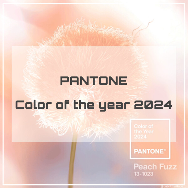 PANTONE Color of the year 2024：Peach Fuzz